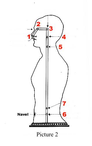 pic2.jpg (12475 bytes)
