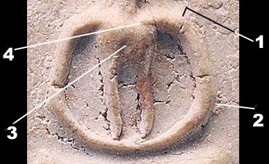 1kesbd.jpg (21743 bytes)