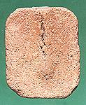 bk1s.jpg (7182 bytes)