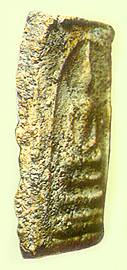 bkp3.jpg (9695 bytes)