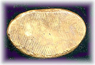 bottom.jpg (17732 bytes)
