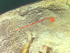 bottom2.jpg (12024 bytes)