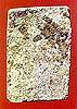 bpsangkatiBS.jpg (3637 bytes)