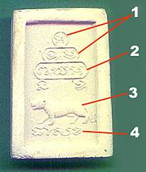 cknsuab.jpg (9852 bytes)