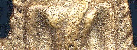 closeup.jpg (32593 bytes)