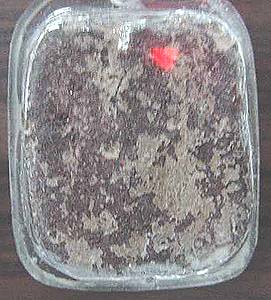 cockexamB.jpg (22825 bytes)