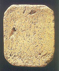 cockrealB.jpg (32036 bytes)