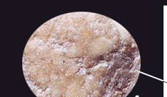 cracker_01.jpg (6524 bytes)