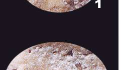 cracker_04.jpg (4689 bytes)