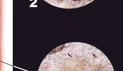 cracker_06.jpg (4027 bytes)