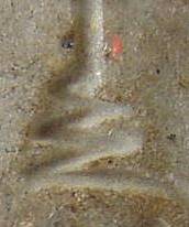 enlarge1.jpg (6748 bytes)