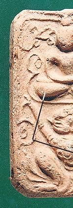 hmyaia.jpg (24067 bytes)