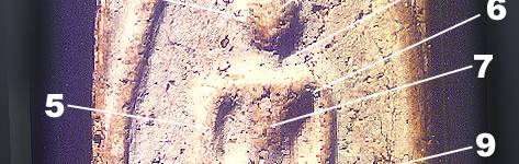 iden2b.jpg (22489 bytes)