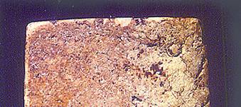 iden2ba.jpg (16640 bytes)