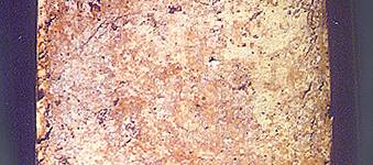 iden2bb.jpg (16842 bytes)