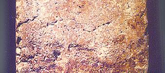 iden2bc.jpg (18360 bytes)
