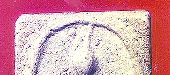 iden3a.jpg (16861 bytes)