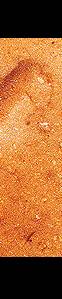 let2c.jpg (41330 bytes)