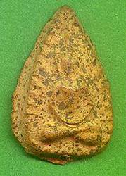 lingkob600.jpg (11815 bytes)