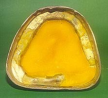 lpc34bot.jpg (8814 bytes)