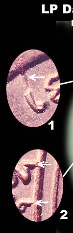 lpdmedb1.jpg (12465 bytes)