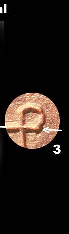 lpdmedb4.jpg (5256 bytes)