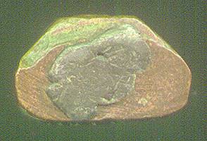 lpkantfigC.jpg (12732 bytes)