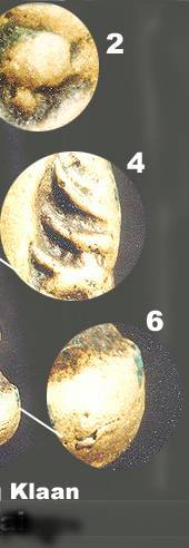 lpngern3.jpg (14019 bytes)