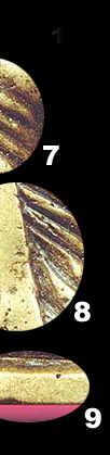 niyom9.jpg (37665 bytes)