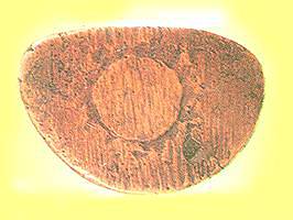 niyombot.jpg (10044 bytes)