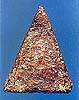 nythevadaBS.jpg (2871 bytes)
