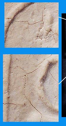 p3fin1.jpg (19129 bytes)