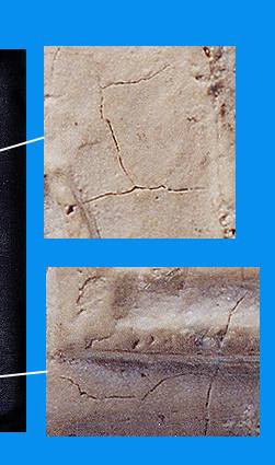 p3fin3.jpg (18696 bytes)