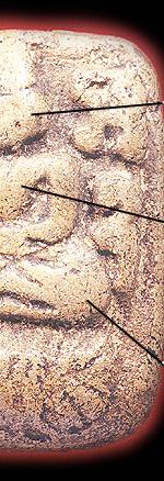 pla1b.jpg (24421 bytes)