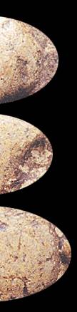 pla1d.jpg (8792 bytes)