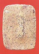 plab1s.jpg (8138 bytes)