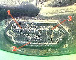 plateb.jpg (17451 bytes)