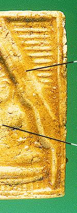 pln2.jpg (22693 bytes)