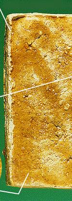 plnb2.jpg (23192 bytes)