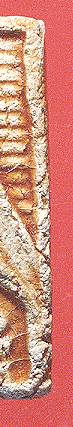pn1d.jpg (11964 bytes)