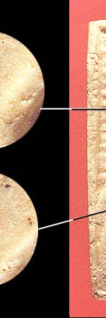 pn5b.jpg (12132 bytes)