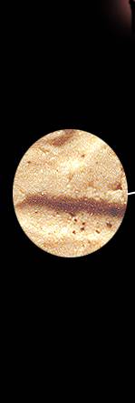 pn5b1.jpg (6091 bytes)
