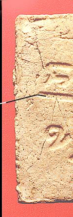 pn5b2.jpg (21760 bytes)