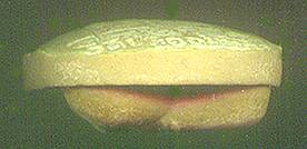 pootohc.jpg (6948 bytes)