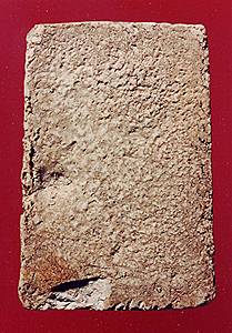 sdb300.jpg (21687 bytes)