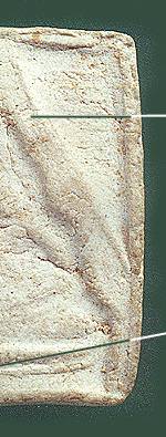 tok2b.jpg (18239 bytes)