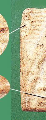 tok3b.jpg (17373 bytes)